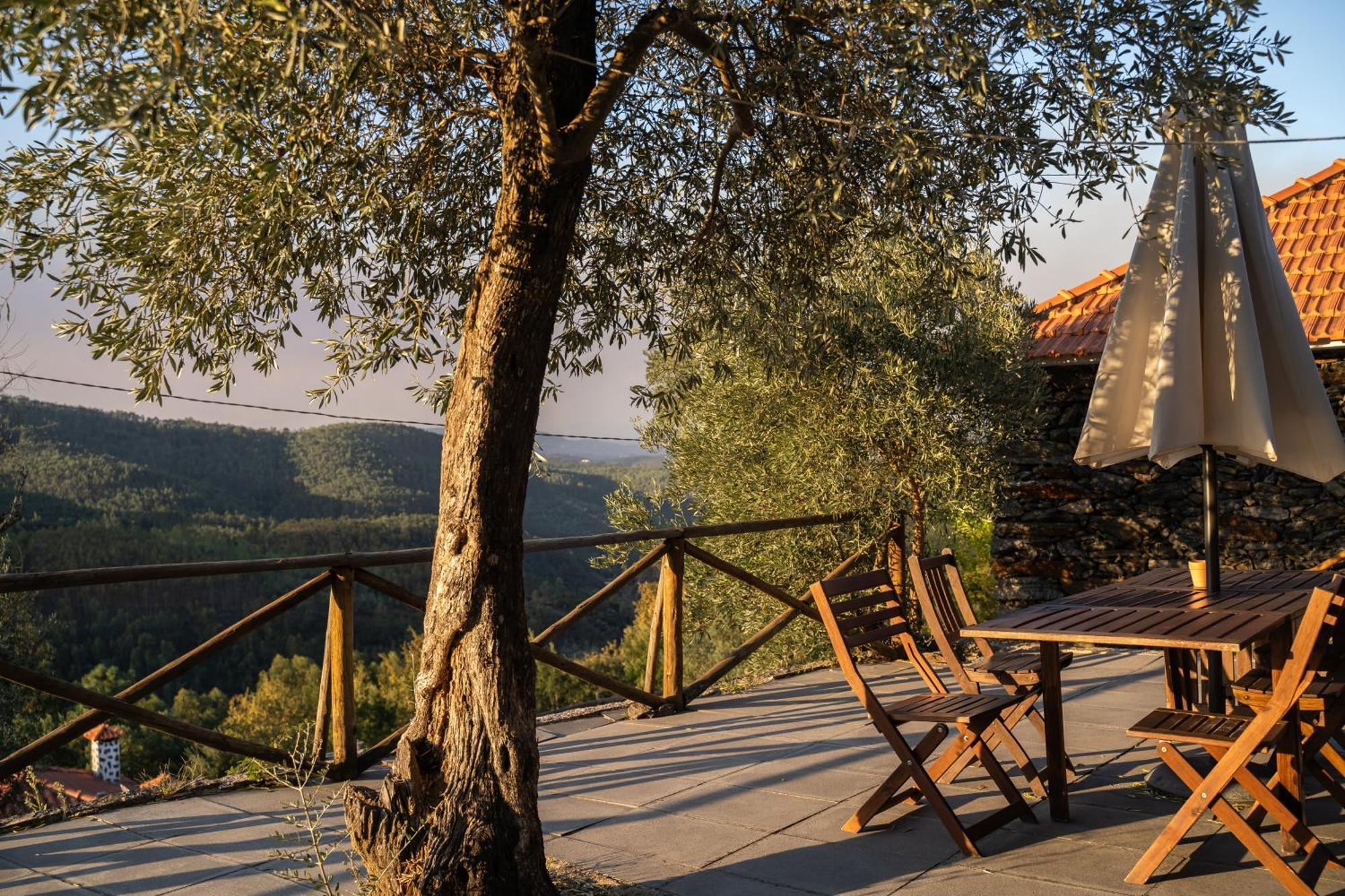 Casa Da Colina Villa Amarante Kültér fotó